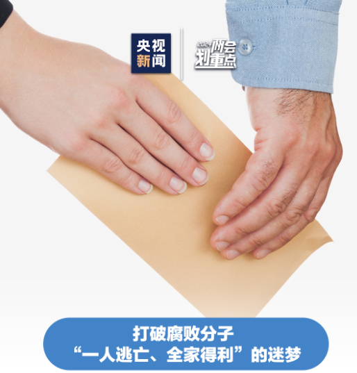 干货！“两高”汇报快览→
